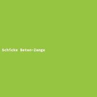 Schicke Beton-Zange
